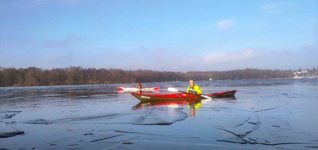 Zugvögel auf der Unterhavel